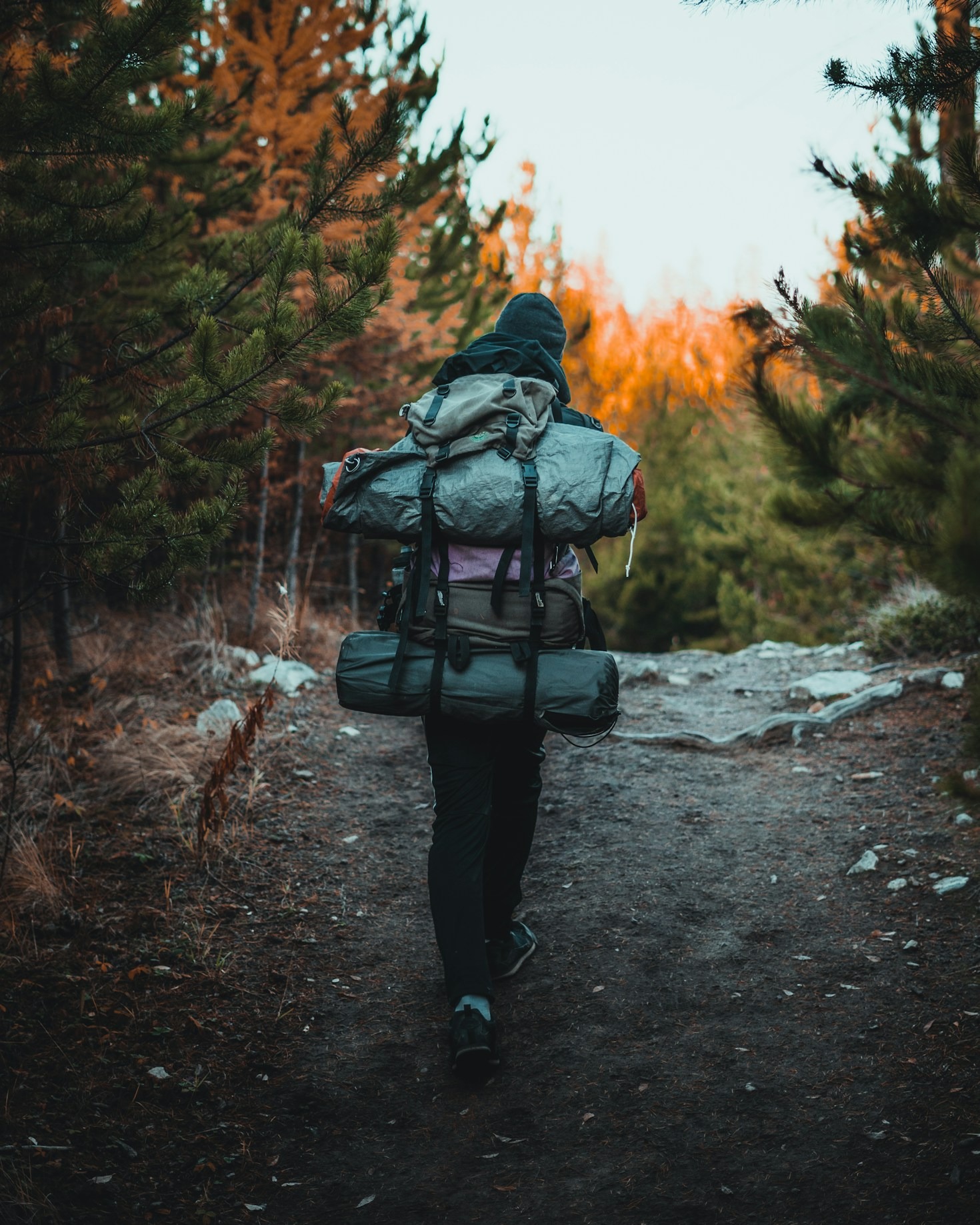 How to Choose the Perfect Travel Backpack